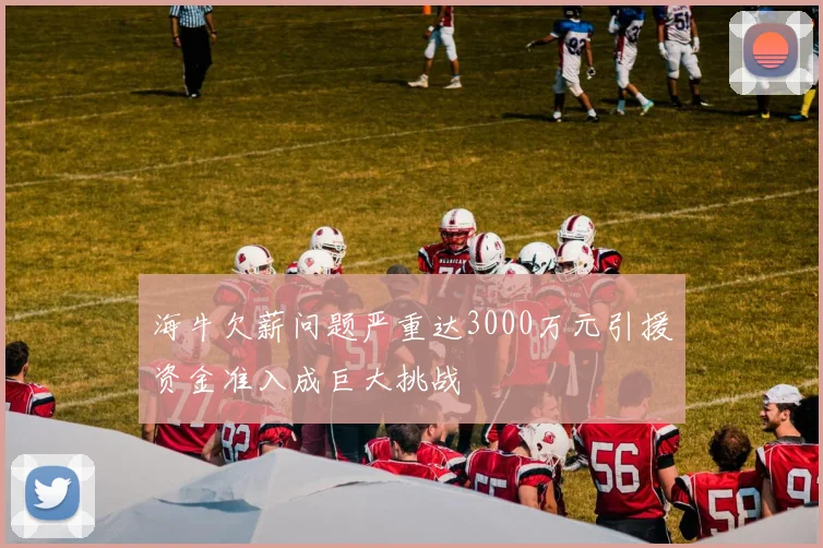 海牛欠薪问题严重达3000万元引援资金准入成巨大挑战